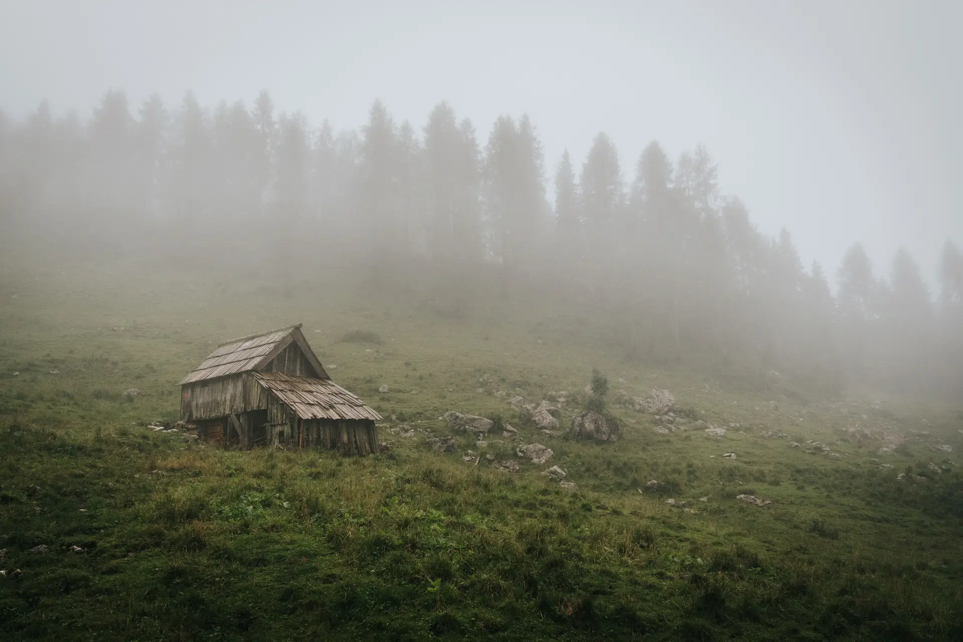 Lesena koča sredi megle v gozdu