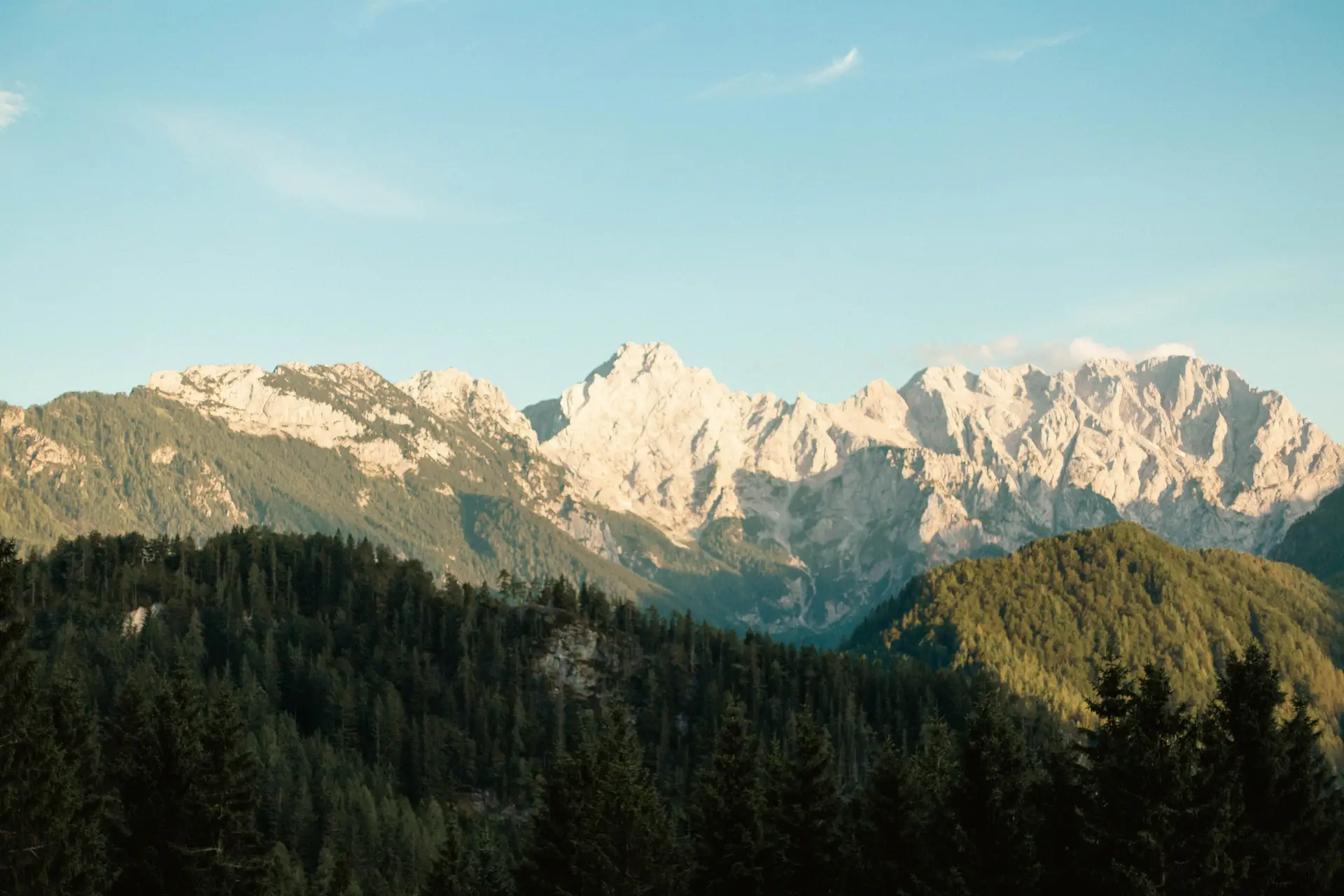 Vodena meditativna hoja po gozdu v Sloveniji