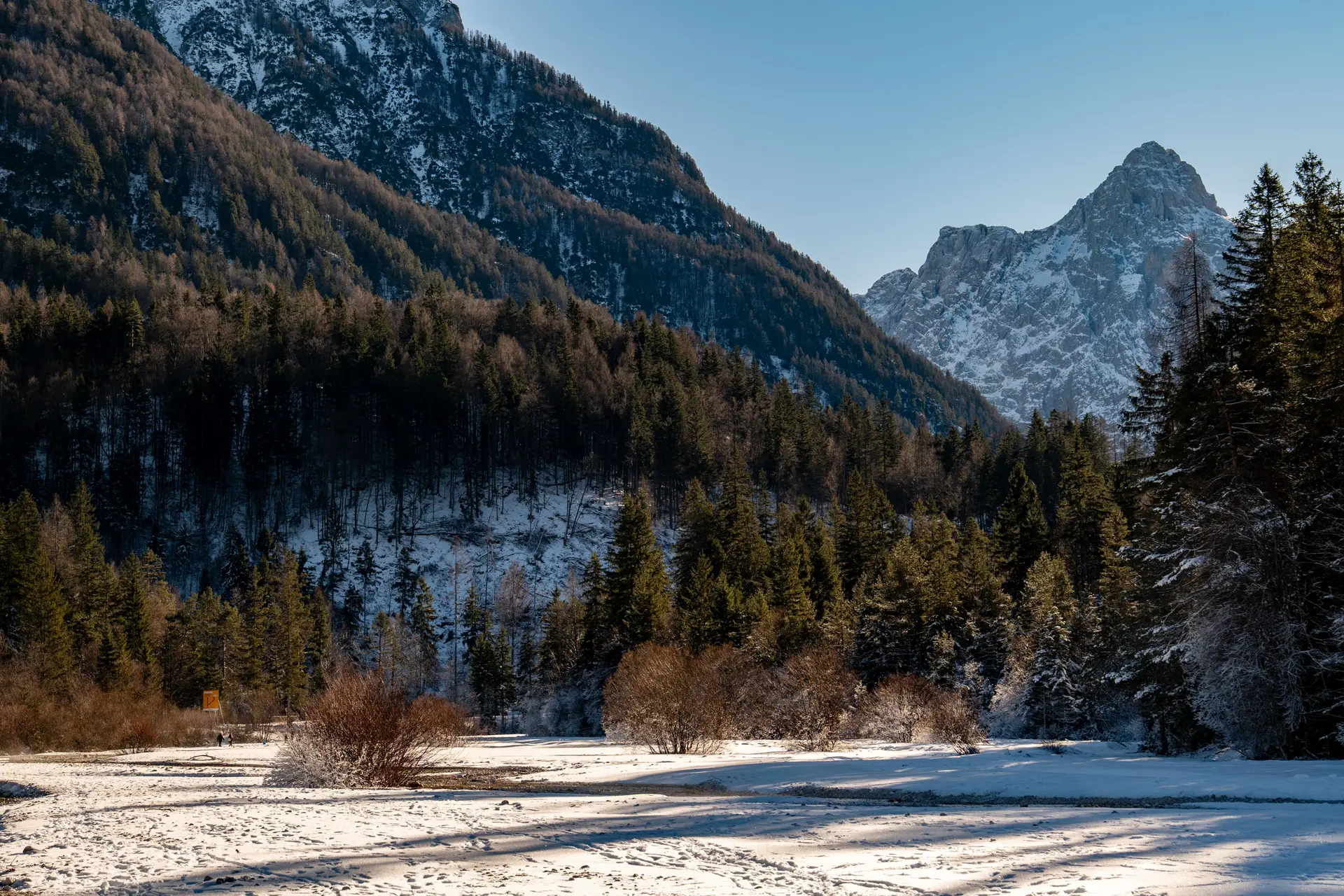 Pogled na zasnežene gore in gozd v Sloveniji